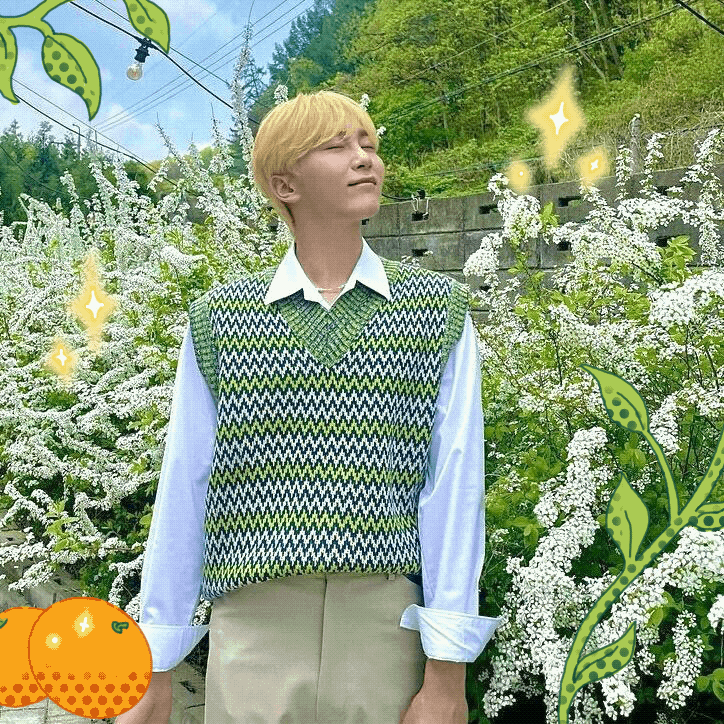 Seungkwan sparkley gif